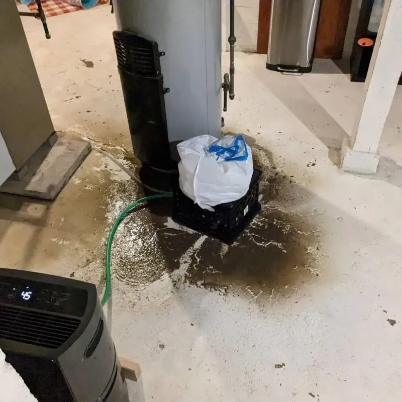 Sewage Backup Cleanup Service in Spindale, NC